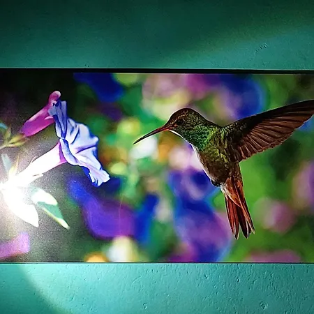 منزل للإقامة Stanza Il Melo In Fiore فيرّارا