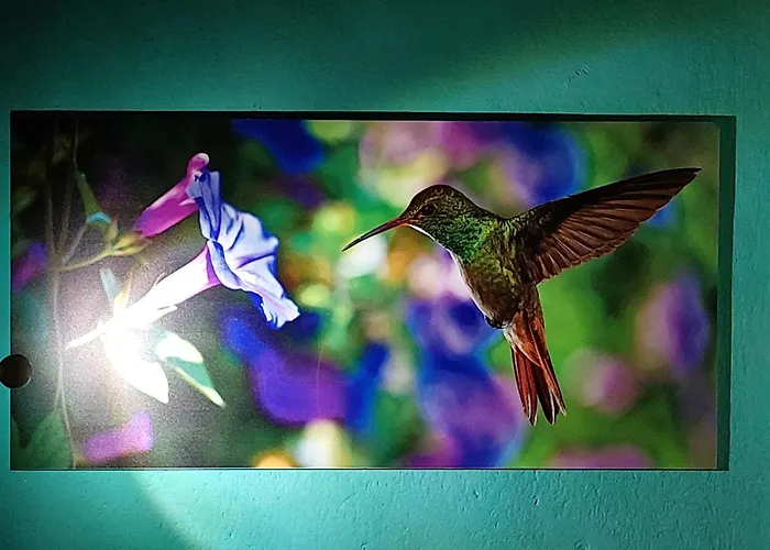 Проживание в семье Stanza Il Melo In Fiore Феррара